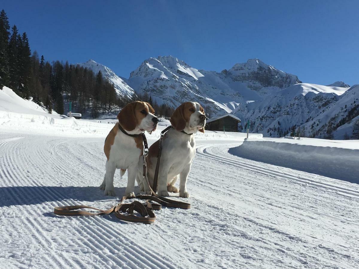 Sertig Ferienwohnung Davos Esterno foto